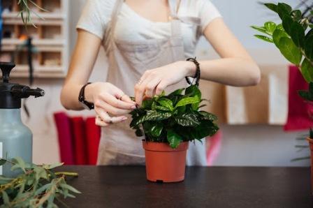 Перевозка цветов