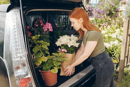 Перевозка цветов