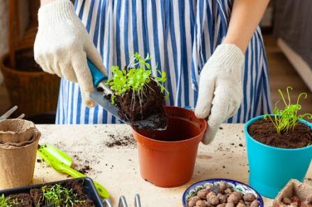 Перевозка цветов